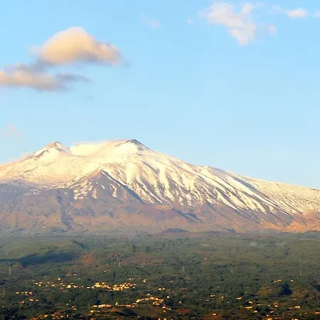Palici 3*